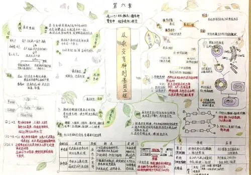 构建高中生物思维导图之学霸笔记,提升生物学学科核心素养