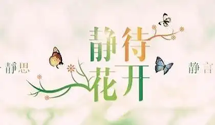 静待花开简笔画