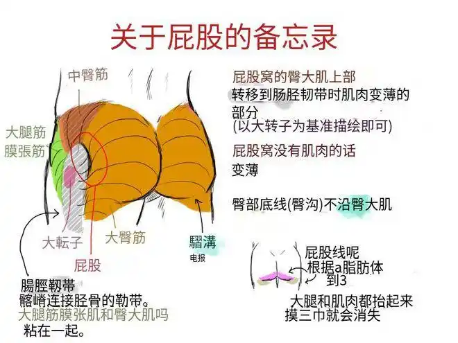 首先,臀部酒窝的位置.
