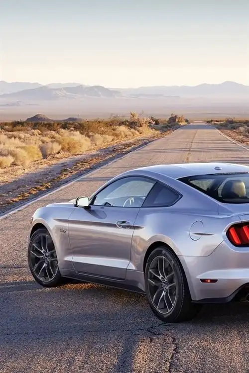 壁纸 福特野马银色肌肉车的后视图 1920x1200 hd 高清壁纸, 图片