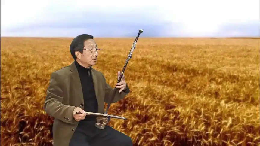 二胡演奏《麦浪滚滚闪金光》季朝友