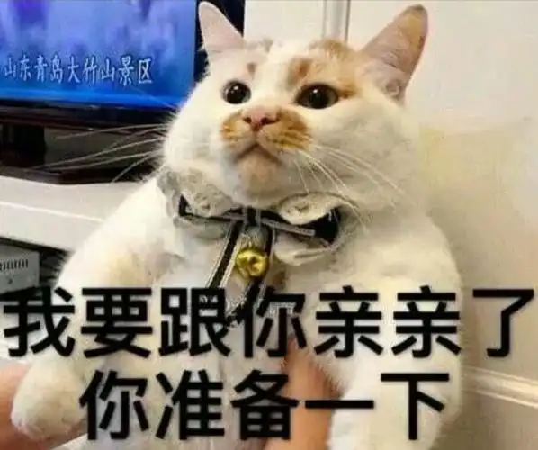 一波很黄很暴力的表情包让对方荷尔蒙瞬间爆发汪们爱情的酸臭