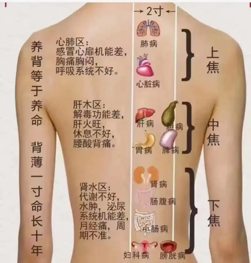 7815阳过之后,一定要做做背! .7815阳过之后,一定要做做背!