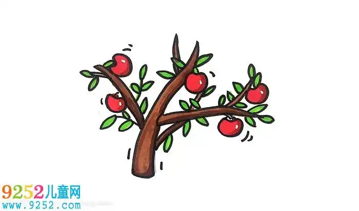 苹果树怎么画简单又好看苹果树简笔画