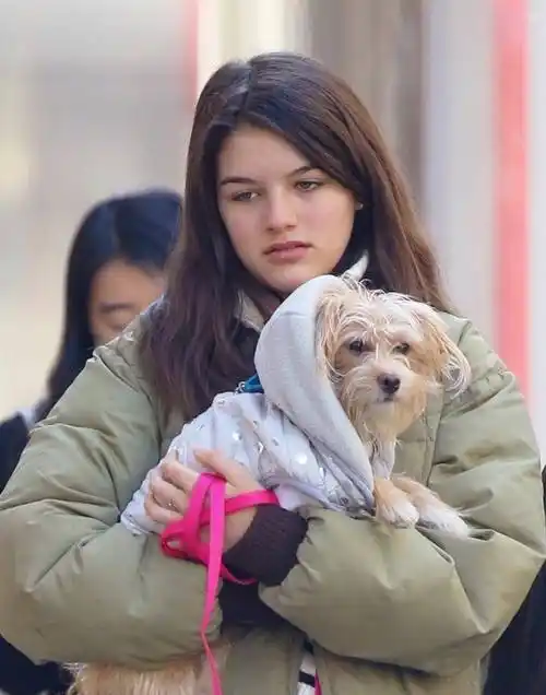 素面朝天眼含情,网友:最美星二代长残了_苏瑞·克鲁斯_汤姆克鲁斯