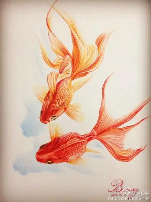 金鱼戏水 彩铅