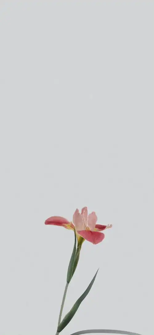 浅色壁纸 聊天背景 简约壁纸