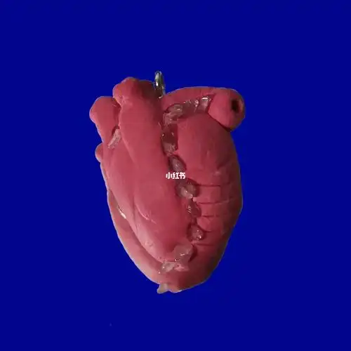 ketchup粘土手作pink心脏