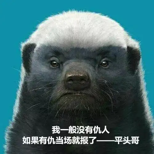 我一般没有仇人,如果有仇当场就报了—平头哥