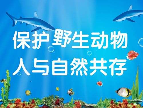 746海报印制展板写真喷绘贴纸163保护野外动物公益海报
