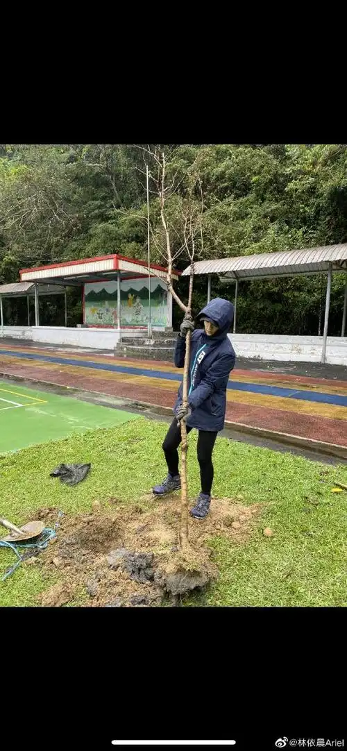 湘琴林依晨植树节种树戴手套拿铁锹亲力亲为