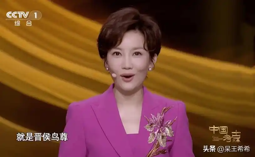 央视主持人王端端工作调整,和门面主播刚强搭档主持活动_频道_节目