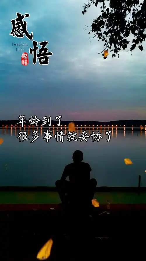 扎心情感语录年龄大了很多事就妥协了这个世界哪有随心所欲