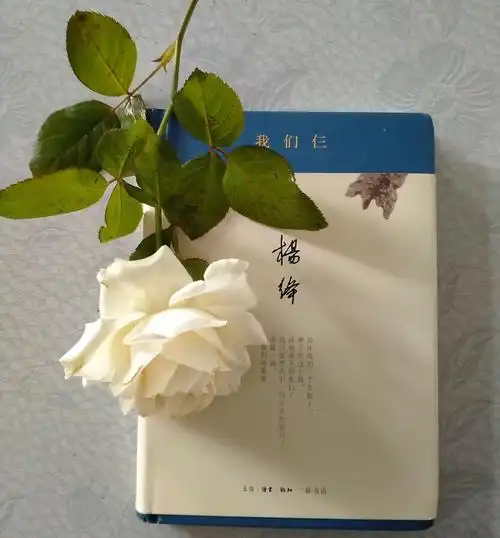 书与花,玫瑰,我们仨