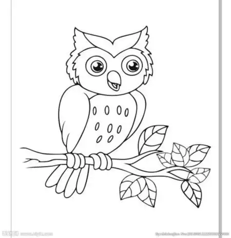 猫头鹰简笔画猫头鹰简笔画图片大全