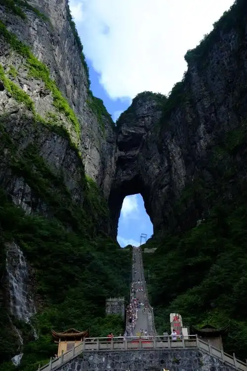 2020上天梯-旅游攻略-门票-地址-问答-游记点评,张家界旅游旅游景点