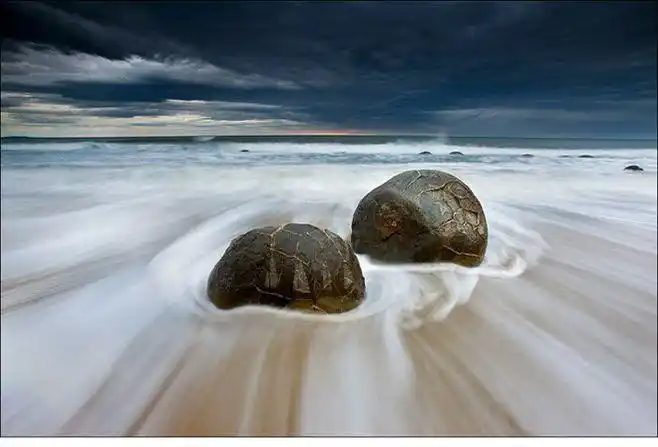 2010国际环保摄影奖获奖作品