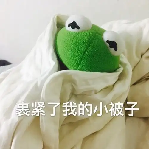 布偶青蛙gif绿色gif搞笑gif可爱gif斗图gif裹紧了我的小被子gif