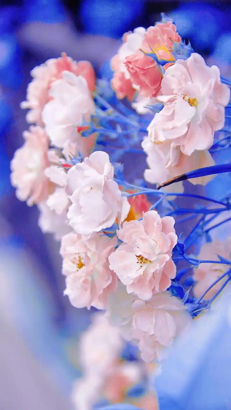 治愈系壁纸 #抖音图文来了 #唯美壁纸 #今日壁纸 #唯美 - 抖音