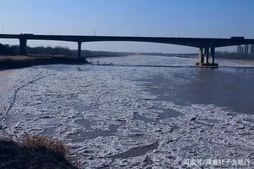 黄河结冰了,满河浮冰,像洁白的雪莲花
