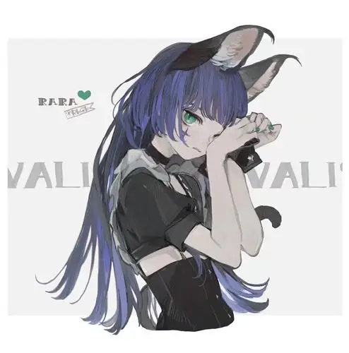 猫女动漫二次元ねこ助转侵删