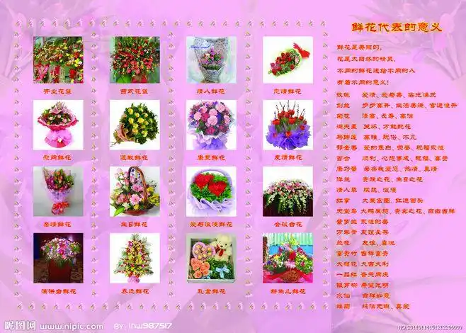 鲜花 花语 物语 鲜花意义 鲜花含义 展板 模板