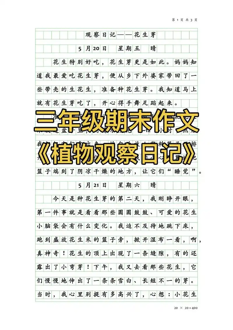 三年级期末作文《观察日记—花生芽》#优秀作文 #三年级 - 抖音