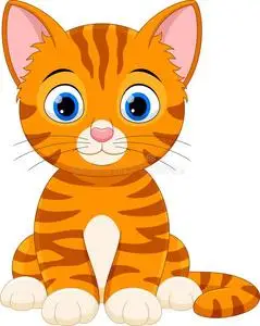 漫画幸福的猫一次照片