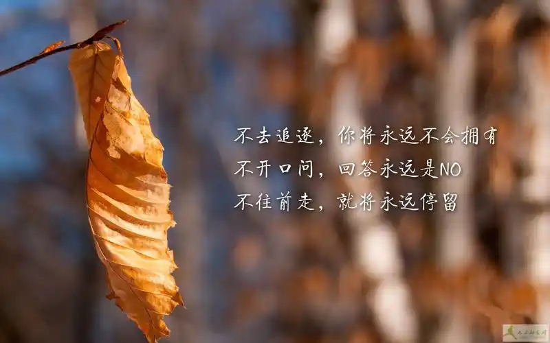 几米优美语录大全_几米名句精选