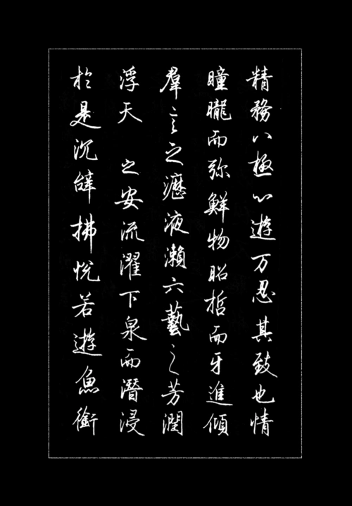 最美书法《钢笔临帖行书精选》著名书法家梁鼎光作品,形神兼备_字帖