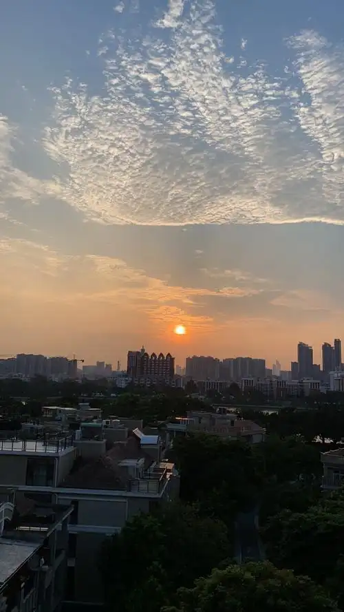 早上的太阳让人更暖和