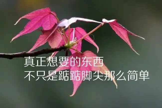 适合发微信的人生感悟哲理语句,朋友圈非常入心的句子