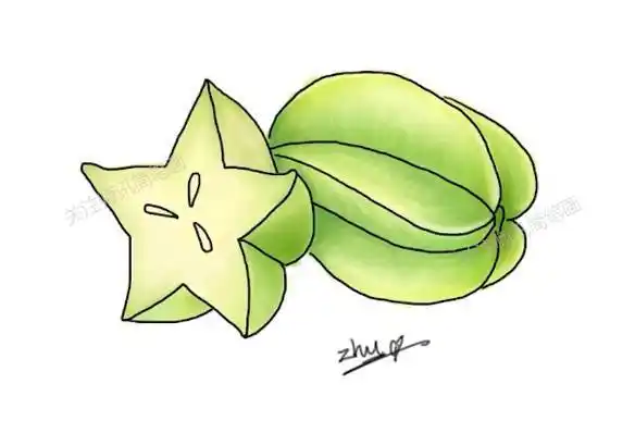 杨桃简笔画卡通画法