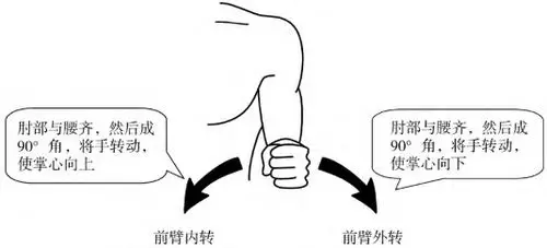 旋前0～90°,旋后0～90°.(五)前臂运动2.肘部伸展,屈曲运动.