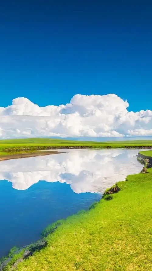 700_1244竖版 竖屏