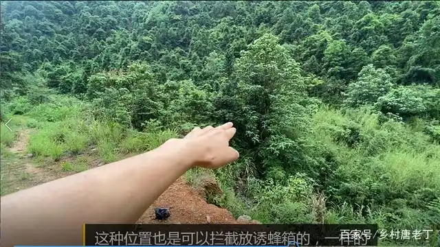 但是它这里还是有点点控的位置的 所以这个位置是可以放诱蜂箱的 然后