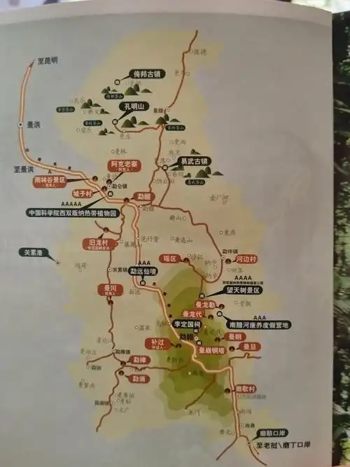 勐腊县郊也让人欣喜,火龙果园,草莓园,橡胶园,原生树林,自然好风光