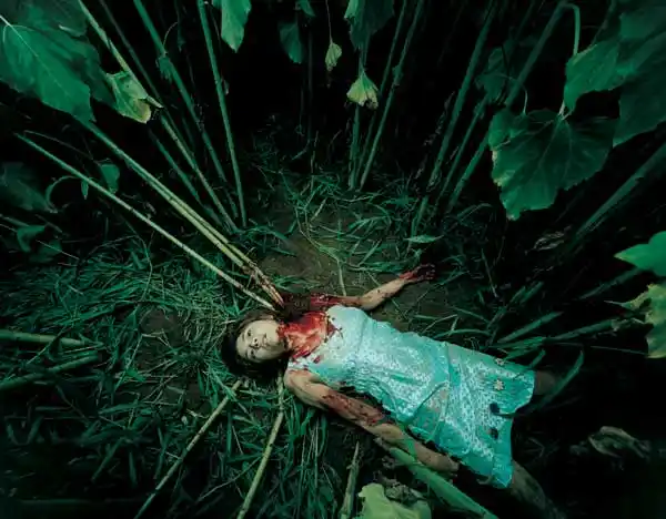 转死亡可以如此唯美