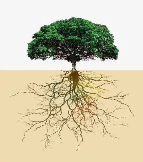 改变手机行业的幕后大佬,竟然是这家汽车厂商