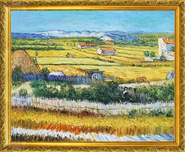 纯手绘手工 梵高体油画 丰收和麦田 线条框