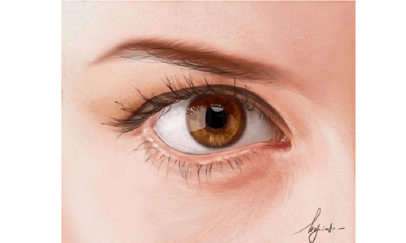 如何用ps画cg逼真漂亮的眼睛