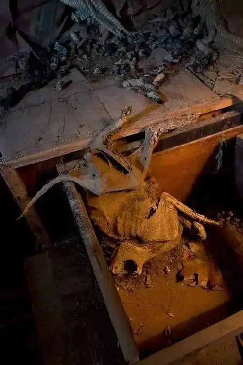 有人站在废弃医院顶楼一栋废弃精神病院拍摄,虽然画质很差,依然能够