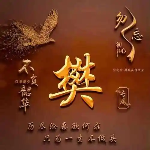 送你64张 不负韶华姓氏头像