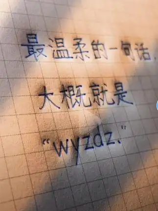 最温柔的一句话大概就是"wyzdz "#抖音小助手 #流量流量 !