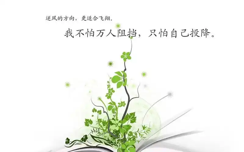 个性简约奋斗文字,高清图片,电脑桌面-壁纸族