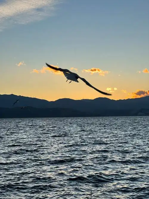 十二月的大理洱海