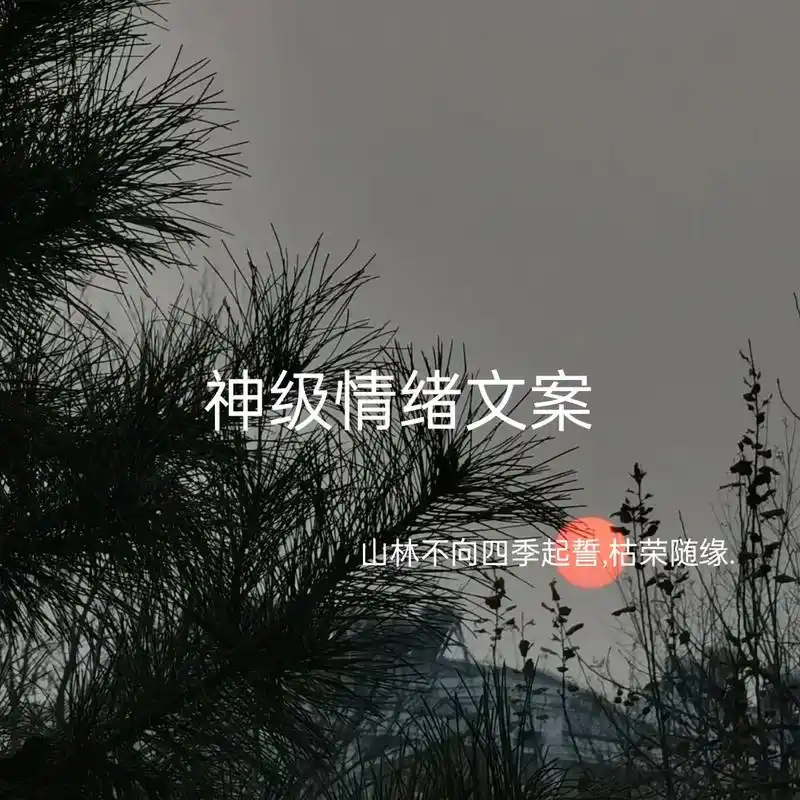 那天他问我为什么喜欢看小说,我沉默了几秒看向他 - 抖音