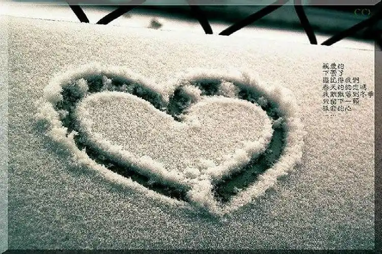 有一天,闻听哪里飘起了雪花,而我的小城却没有一点雪的消息,心,暗暗生