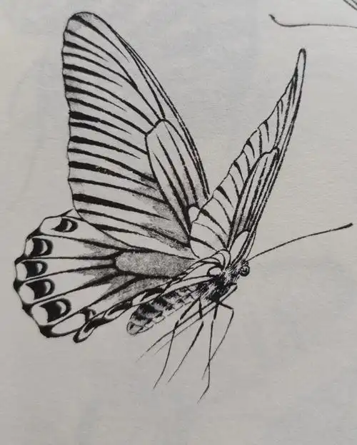 工笔画#画画  #寻找小红书绘画大神  #黑白装饰画  #绘画