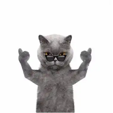 抖音霸气喵星人微信表情包图片